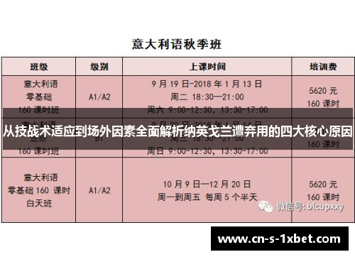 从技战术适应到场外因素全面解析纳英戈兰遭弃用的四大核心原因