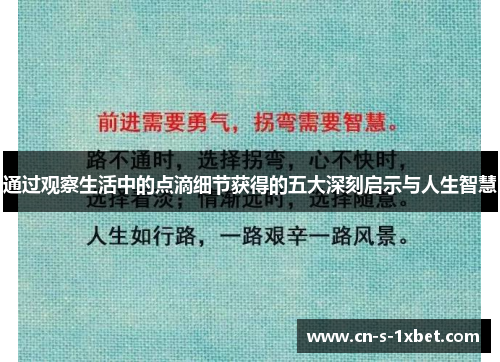 通过观察生活中的点滴细节获得的五大深刻启示与人生智慧