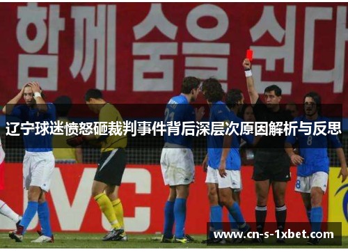 辽宁球迷愤怒砸裁判事件背后深层次原因解析与反思