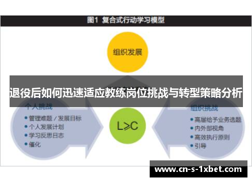 退役后如何迅速适应教练岗位挑战与转型策略分析